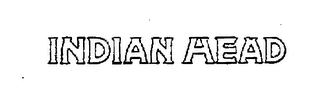 INDIAN HEAD logo