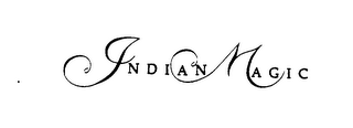 INDIAN MAGIC logo