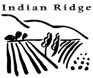 INDIAN RIDGE logo