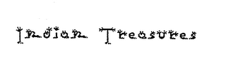INDIAN TREASURES logo