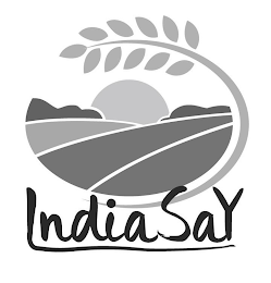 INDIASAY logo