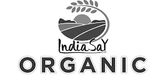 INDIASAY ORGANIC logo