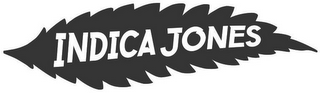 INDICA JONES logo