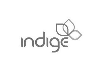 INDIGE logo
