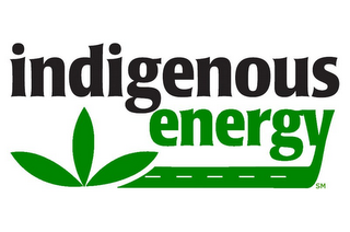 INDIGENOUS ENERGY logo