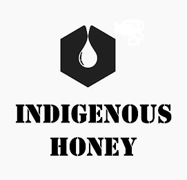 INDIGENOUS HONEY logo