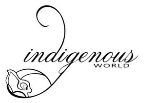 INDIGENOUS WORLD logo