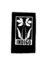 INDIGO logo