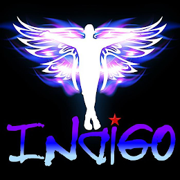 INDIGO logo