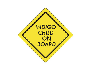 INDIGO CHILD ON BOARD logo