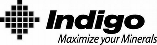 INDIGO MAXIMIZE YOUR MINERALS logo
