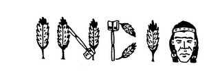 INDIO logo