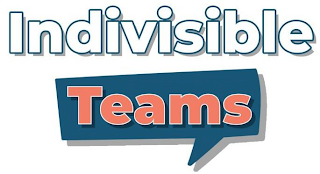 INDIVISIBLE TEAMS logo