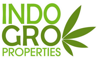 INDO GRO PROPERTIES logo