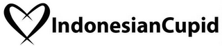 INDONESIANCUPID logo