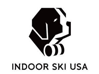 INDOOR SKI USA logo