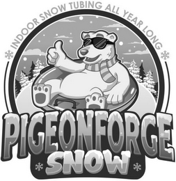 INDOOR SNOW TUBING ALL YEAR LONG PIGEONFORGE SNOW logo