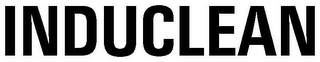 INDUCLEAN logo