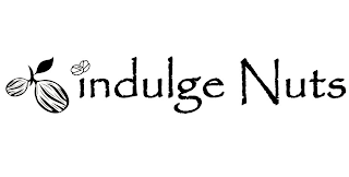 INDULGE NUTS logo