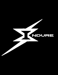 INDURE logo