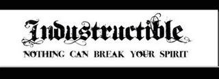 INDUSTRUCTIBLE NOTHING CAN BREAK YOUR SPIRIT logo