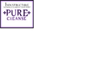 INDUSTRUCTIBLE NOTHING CAN BREAK YOUR SPIRIT PURE CLEANSE logo