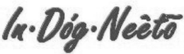 IN·DÓG·NEÈTO logo