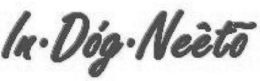 IN·DÓG·NEÈTO logo