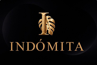 INDÓMITA logo
