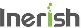 INERISH logo