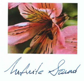 INFINITE SOUND logo
