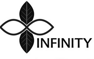 INFINITY logo
