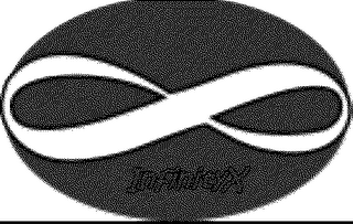 INFINITYX logo