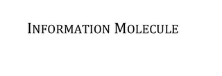 INFORMATION MOLECULE logo