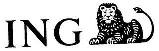 ING logo