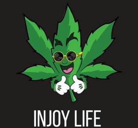 INJOY LIFE logo