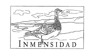 INMENSIDAD logo
