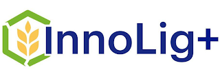 INNOLIG+ logo