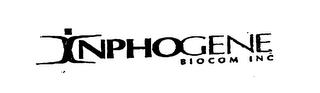 INPHOGENE BIOCOM INC logo