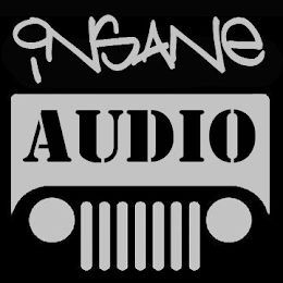 INSANE AUDIO logo