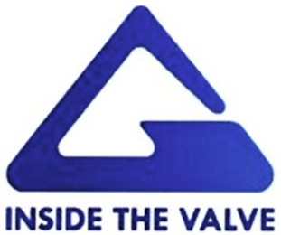 INSIDE THE VALVE logo