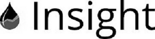 INSIGHT logo