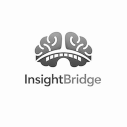 INSIGHT BRIDGE logo