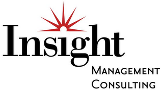 INSIGHT MANAGEMENT CONSULTING logo