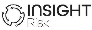 INSIGHT RISK logo