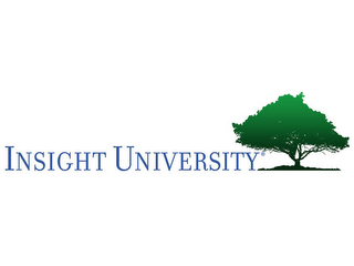 INSIGHT UNIVERSITY logo