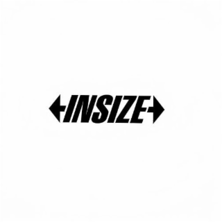 INSIZE logo