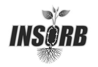 INSORB logo