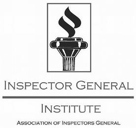 INSPECTOR GENERAL INSTITUTE ASSOCIATION OF INSPECTORS GENERAL logo