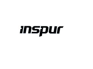 INSPUR logo